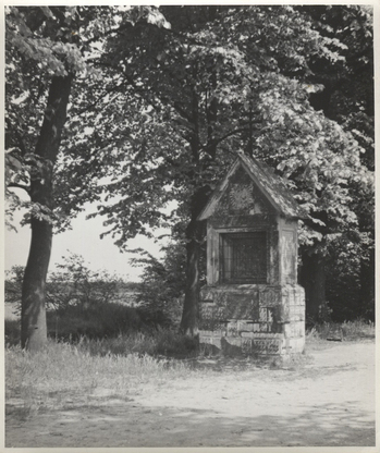 Fotograf: Hickstein, Carmen, Copyright: 1