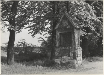 Fotograf: Hickstein, Carmen, Copyright: 1