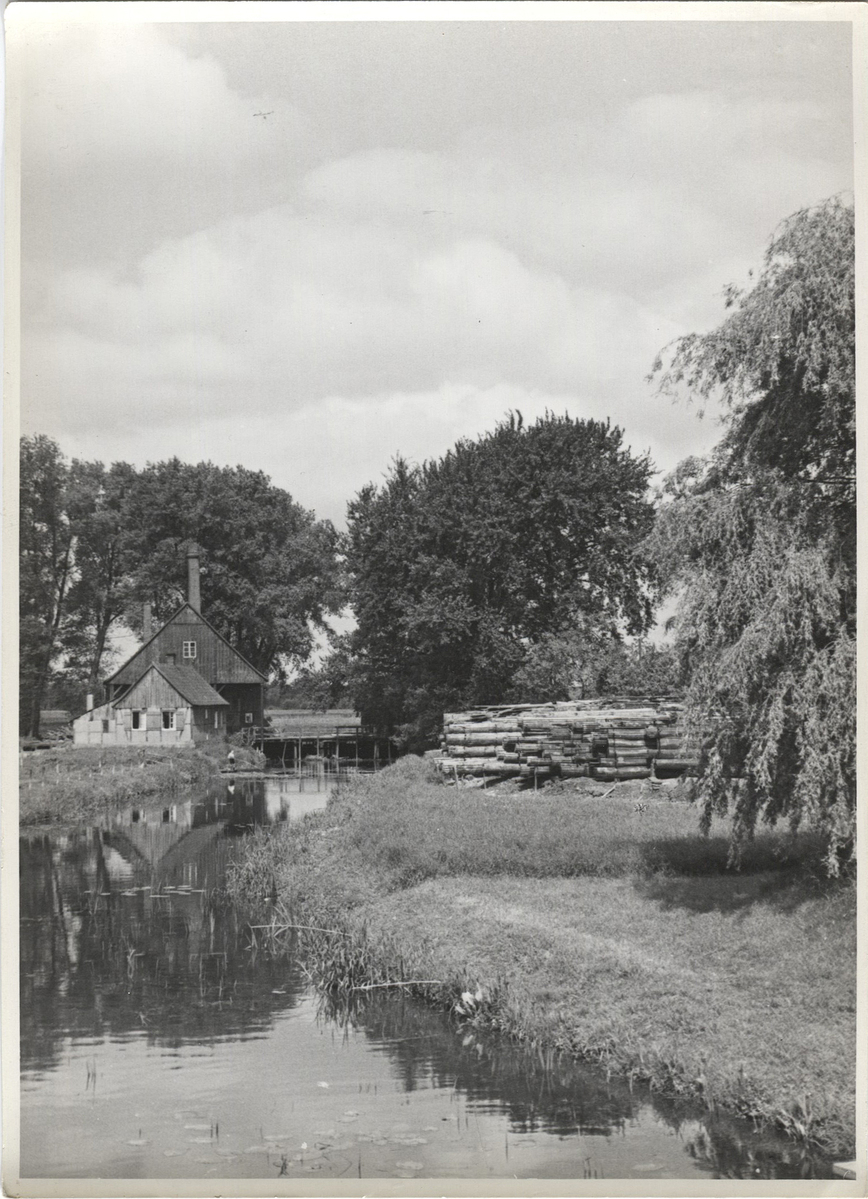 Fotograf: Hickstein, Carmen, Copyright: 1