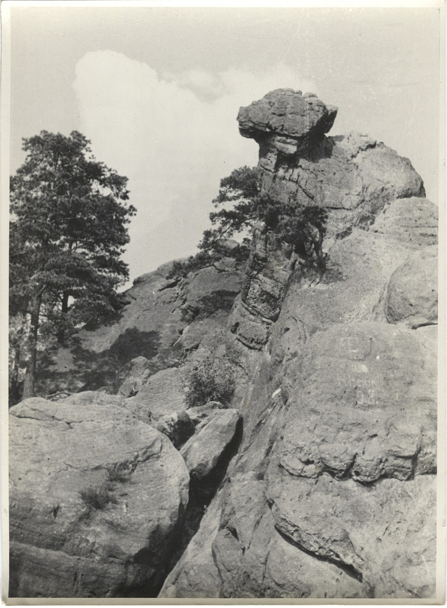 Fotograf: Hickstein, Carmen, Copyright: 1