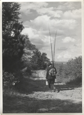 Fotograf: Hickstein, Carmen, Copyright: 1