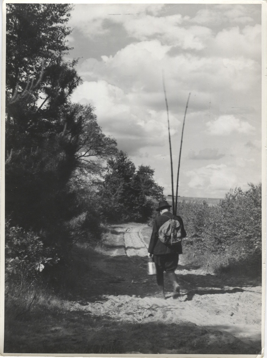 Fotograf: Hickstein, Carmen, Copyright: 1