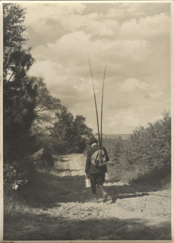 Fotograf: Hickstein, Carmen, Copyright: 1