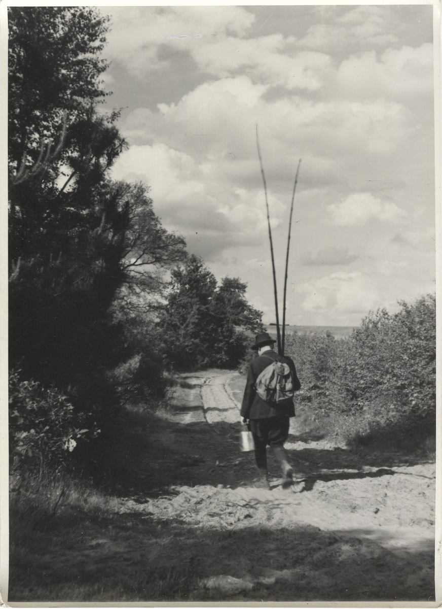 Fotograf: Hickstein, Carmen, Copyright: 1