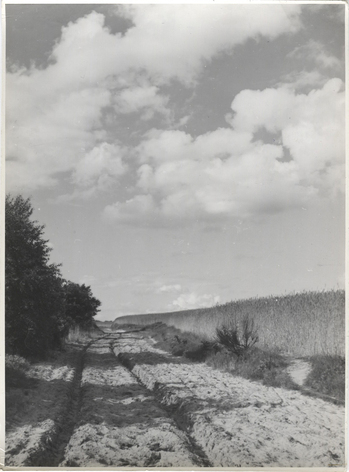 Photographer: Hickstein, Carmen, Copyright: 1
