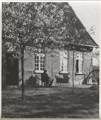 Fotograf: Hickstein, Carmen, Copyright: 1