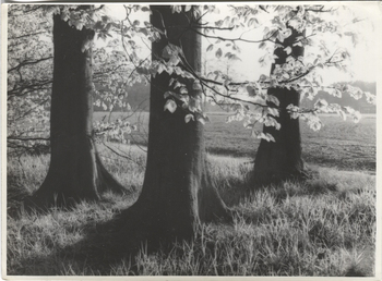 Fotograf: Hickstein, Carmen, Copyright: 1