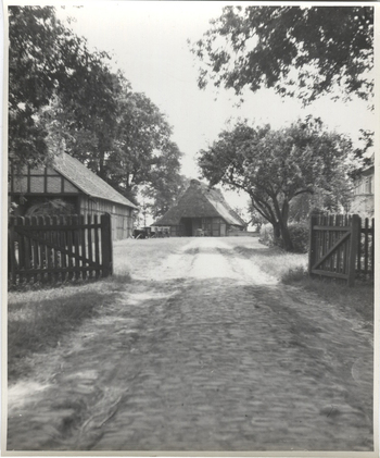 Fotograf: Hickstein, Carmen, Copyright: 1