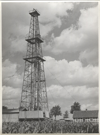 Fotograf: Hickstein, Carmen, Copyright: 1