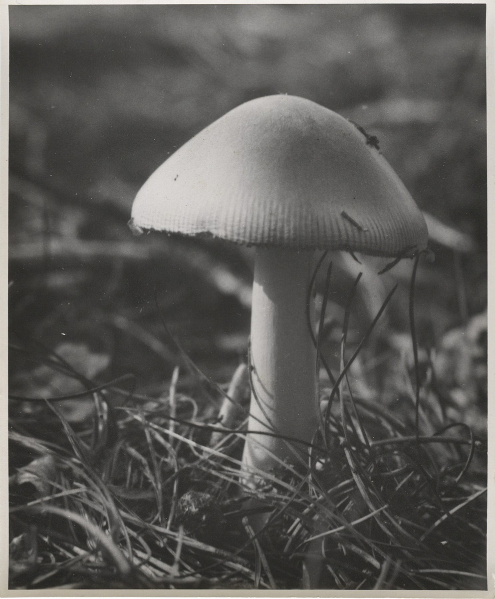 Fotograf: Hickstein, Carmen, Copyright: 1