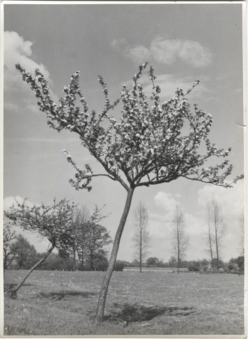 Fotograf: Hickstein, Carmen, Copyright: 1