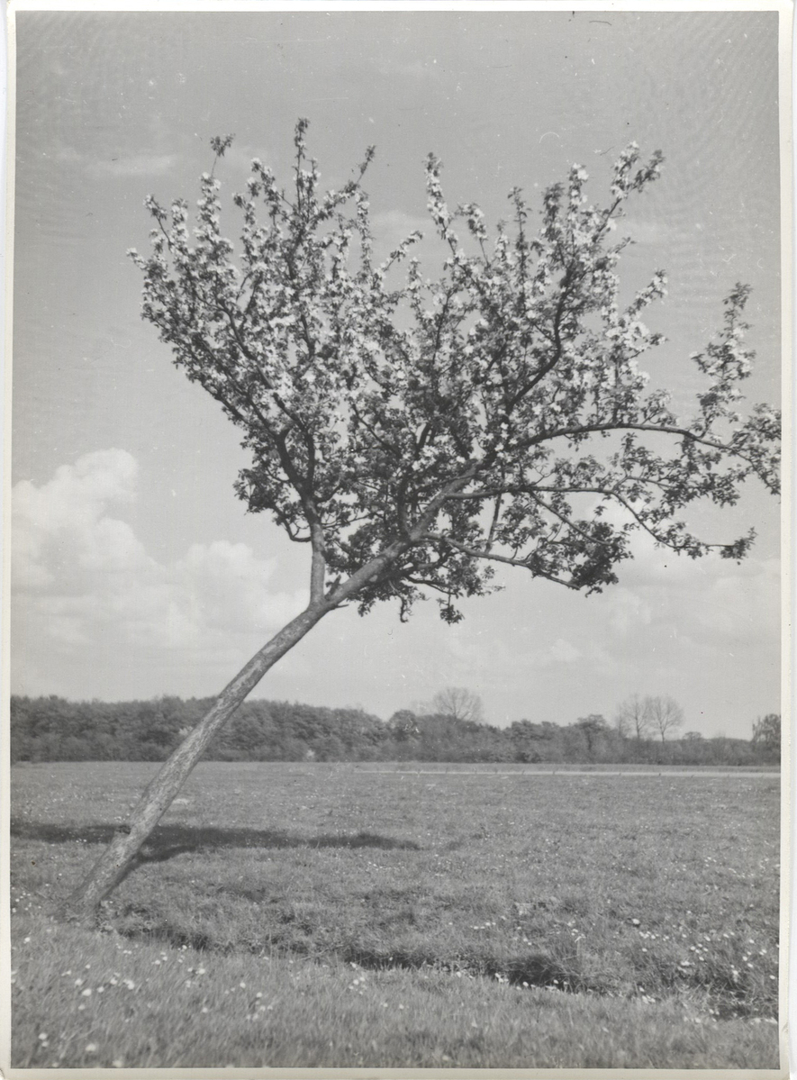 Fotograf: Hickstein, Carmen, Copyright: 1