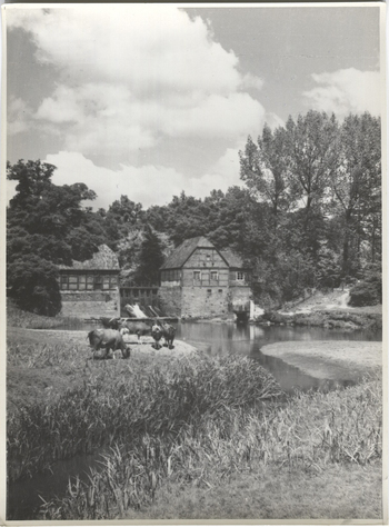 Fotograf: Hickstein, Carmen, Copyright: 1