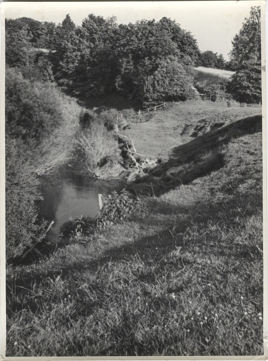 Photographer: Hickstein, Carmen, Copyright: 1