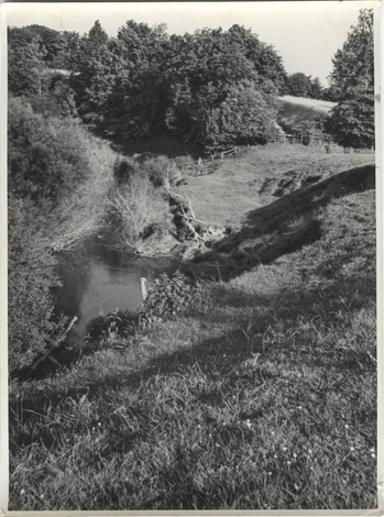 Photographer: Hickstein, Carmen, Copyright: 1