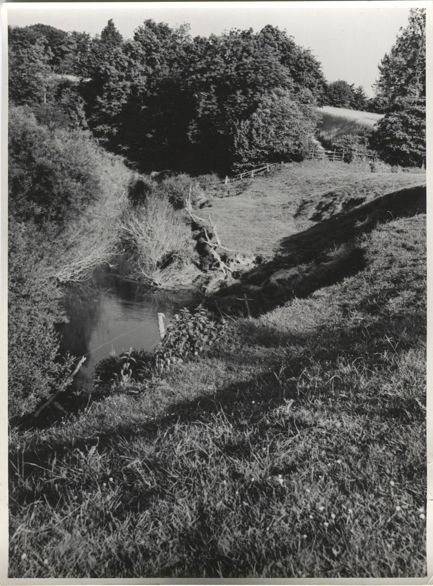 Fotograf: Hickstein, Carmen, Copyright: 1