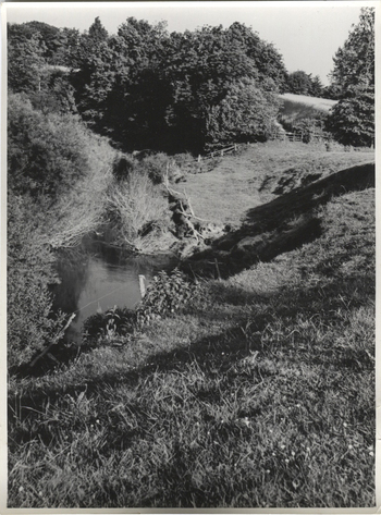 Fotograf: Hickstein, Carmen, Copyright: 1