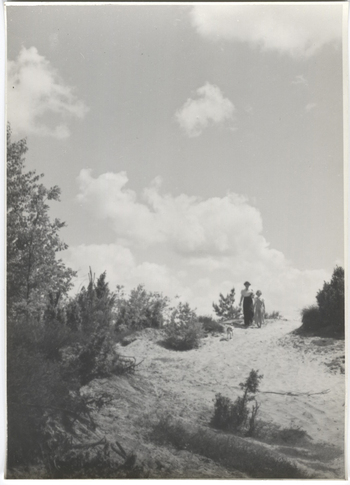 Fotograf: Hickstein, Carmen, Copyright: 1