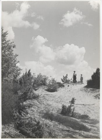 Fotograf: Hickstein, Carmen, Copyright: 1