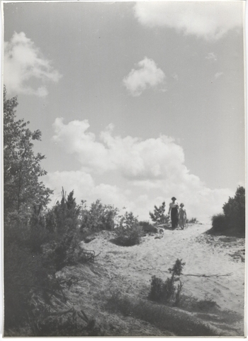 Fotograf: Hickstein, Carmen, Copyright: 1