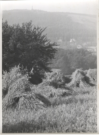 Fotograf: Hickstein, Carmen, Copyright: 1