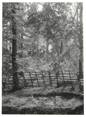 Fotograf: Hickstein, Carmen, Copyright: 1