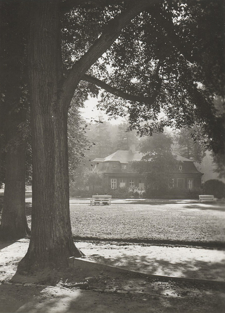 Fotograf: Hickstein, Carmen, Copyright: 1