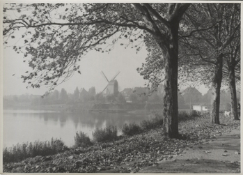 Fotograf: Hickstein, Carmen, Copyright: 1