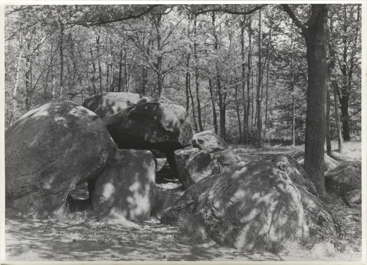 Fotograf: Hickstein, Carmen, Copyright: 1