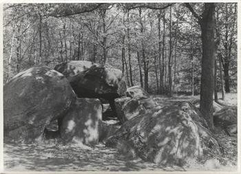 Fotograf: Hickstein, Carmen, Copyright: 1