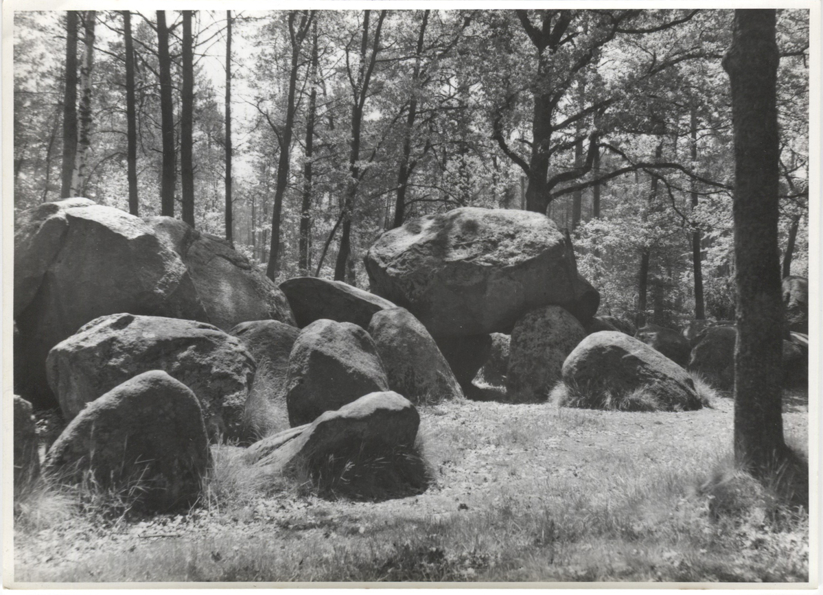 Fotograf: Hickstein, Carmen, Copyright: 1