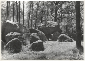 Fotograf: Hickstein, Carmen, Copyright: 1