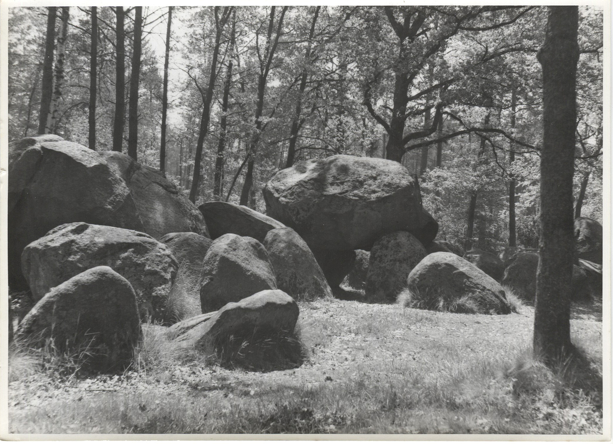 Fotograf: Hickstein, Carmen, Copyright: 1