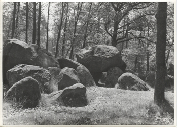 Fotograf: Hickstein, Carmen, Copyright: 1