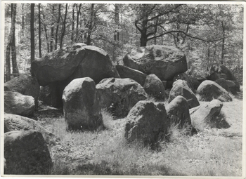 Fotograf: Hickstein, Carmen, Copyright: 1