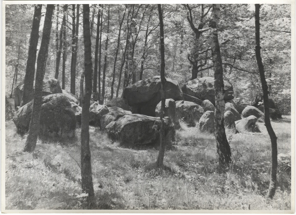 Fotograf: Hickstein, Carmen, Copyright: 1