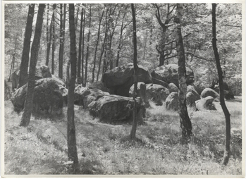 Fotograf: Hickstein, Carmen, Copyright: 1