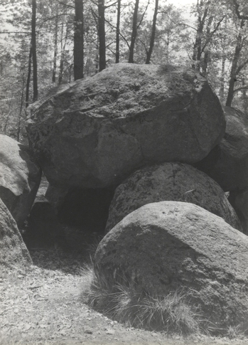 Fotograf: Hickstein, Carmen, Copyright: 1