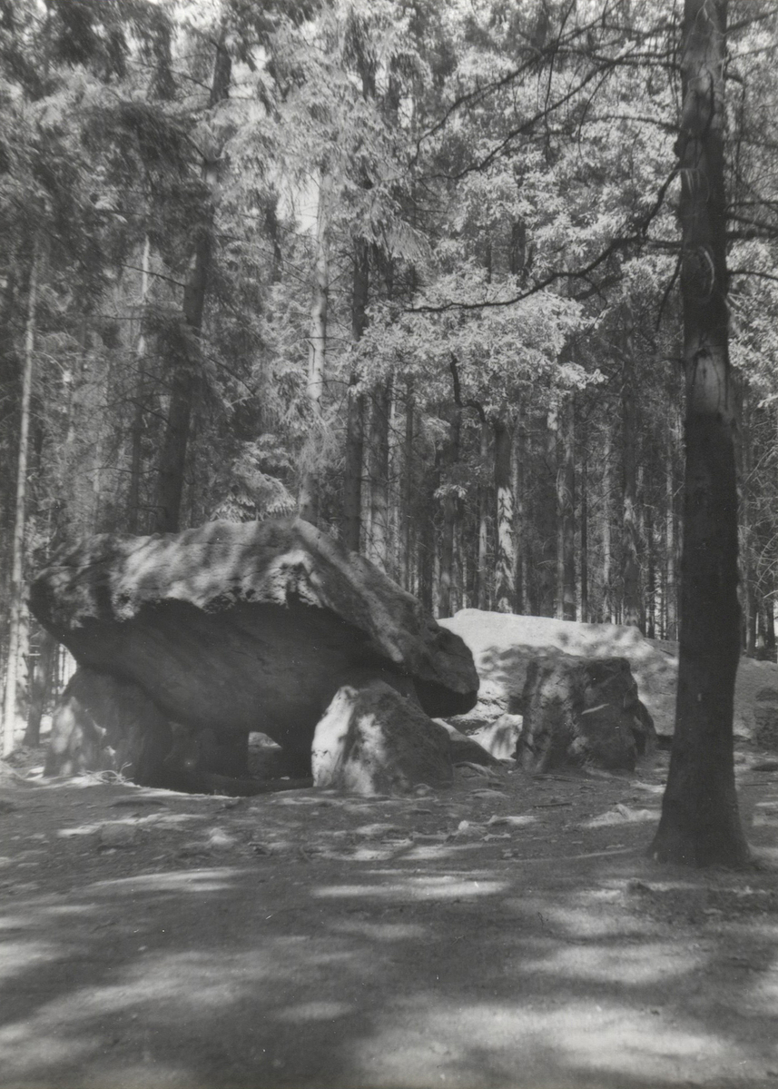 Fotograf: Hickstein, Carmen, Copyright: 1