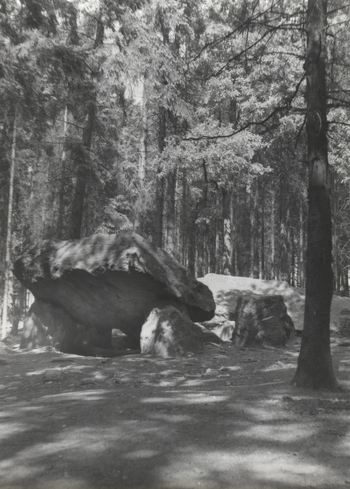 Fotograf: Hickstein, Carmen, Copyright: 1