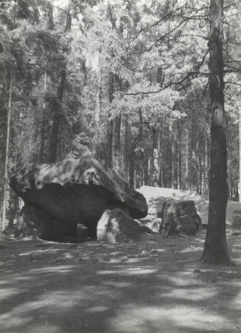 Fotograf: Hickstein, Carmen, Copyright: 1