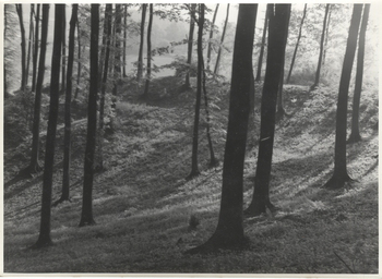 Fotograf: Hickstein, Carmen, Copyright: 1