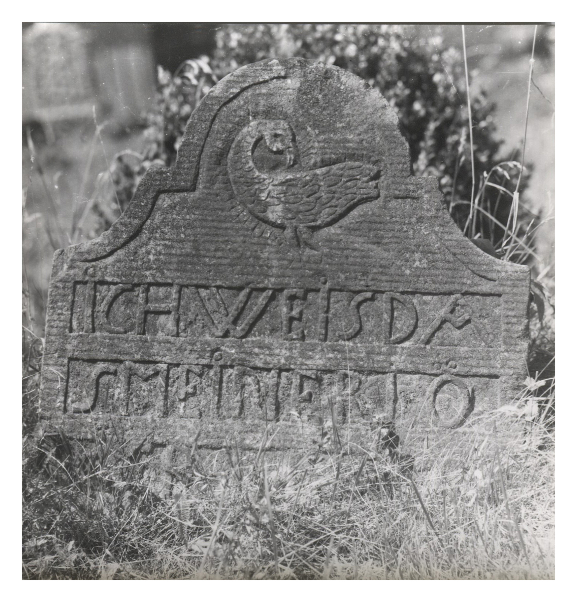 Fotograf: Hickstein, Carmen, Copyright: 1