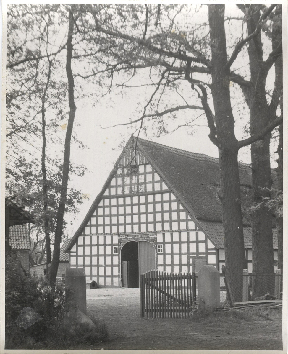 Fotograf: Hickstein, Carmen, Copyright: 1