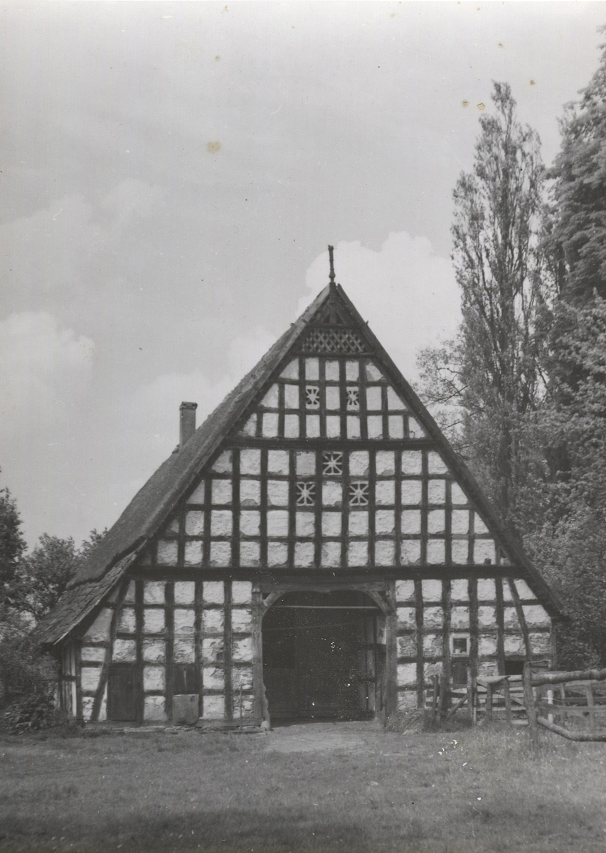 Fotograf: Hickstein, Carmen, Copyright: 1
