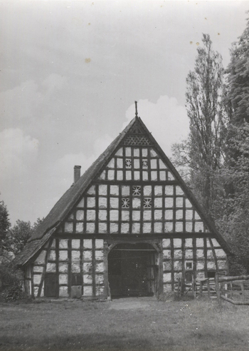 Fotograf: Hickstein, Carmen, Copyright: 1