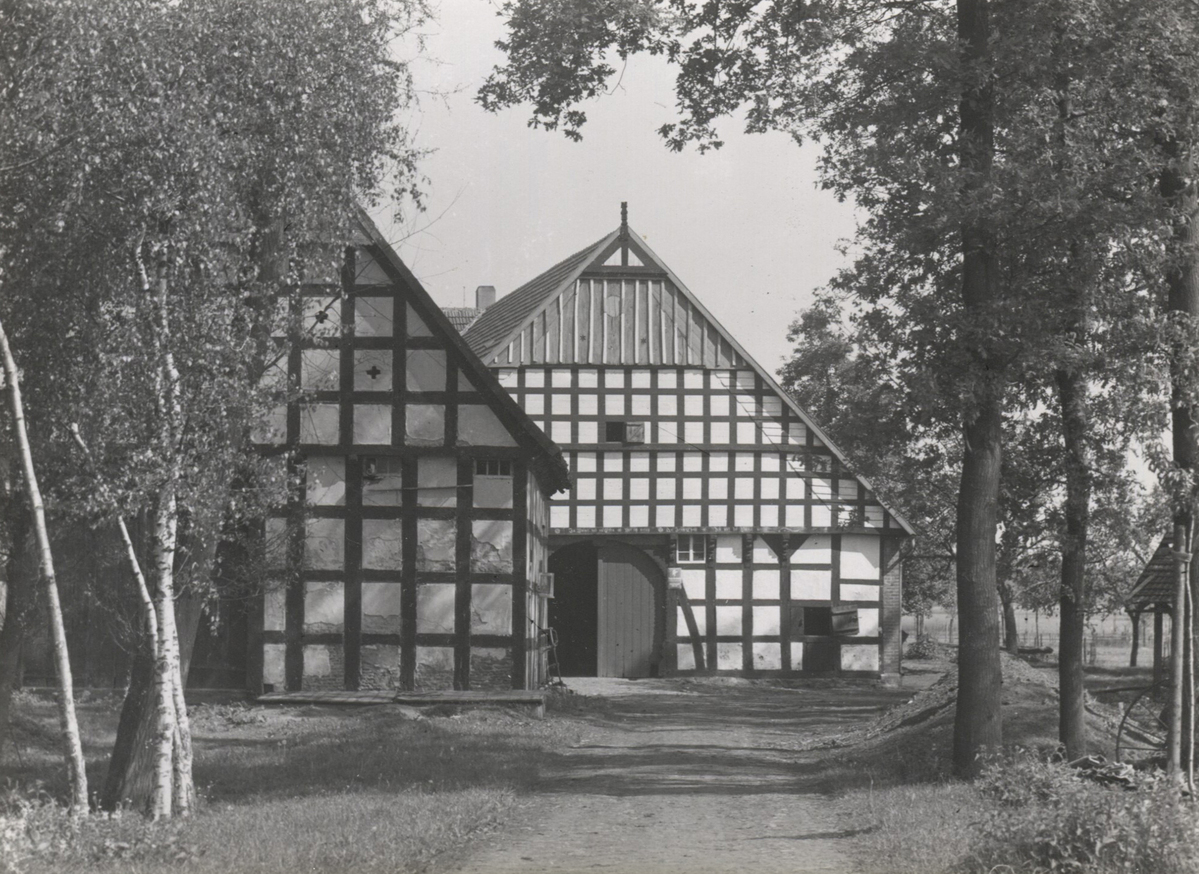 Fotograf: Hickstein, Carmen, Copyright: 1