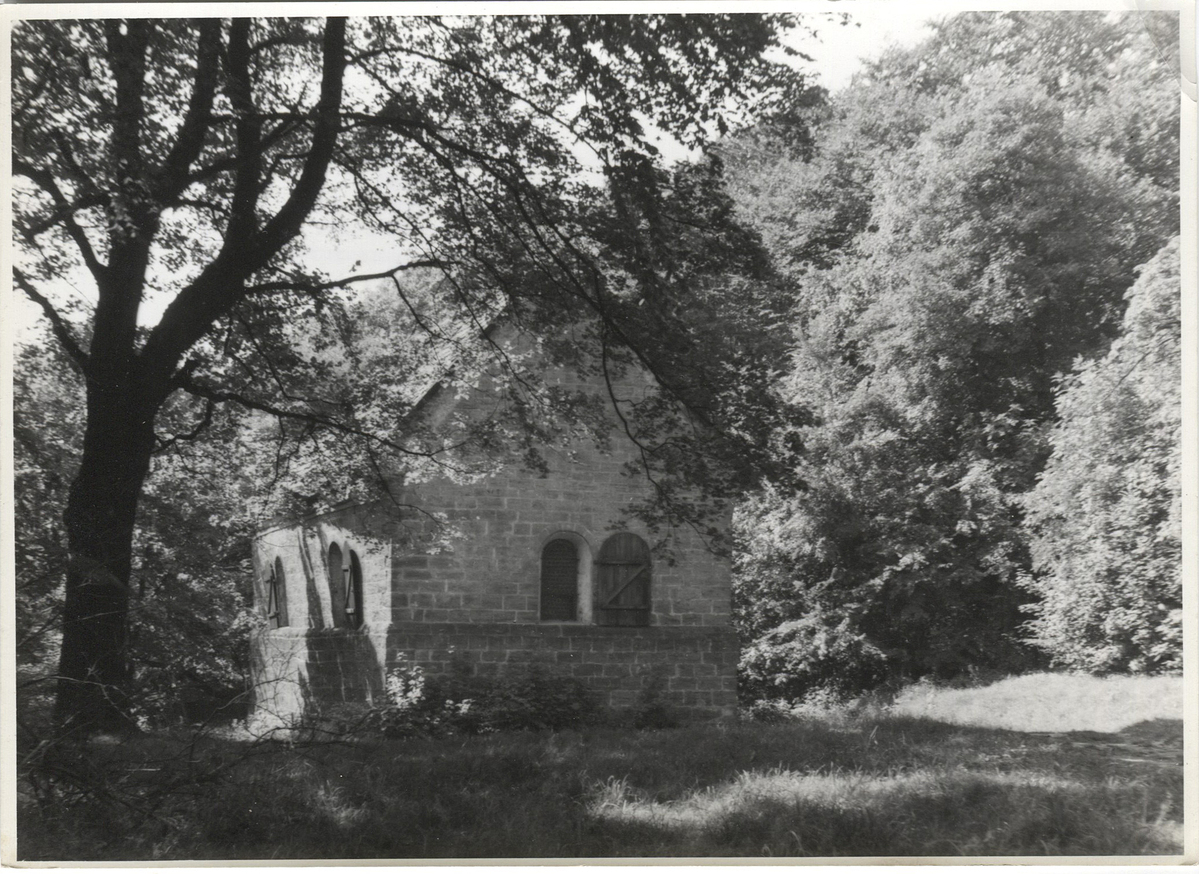 Fotograf: Hickstein, Carmen, Copyright: 1