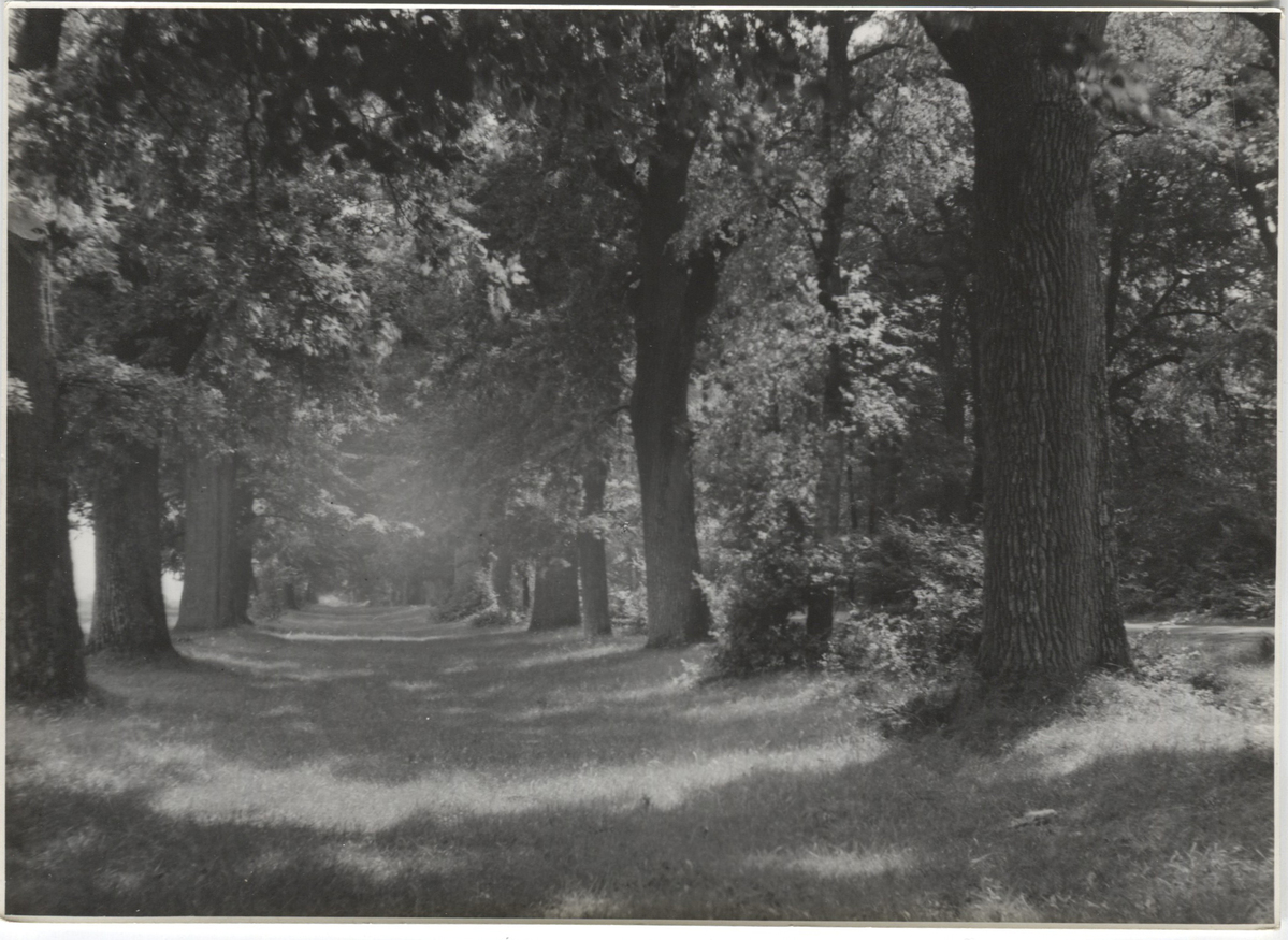 Fotograf: Hickstein, Carmen, Copyright: 1