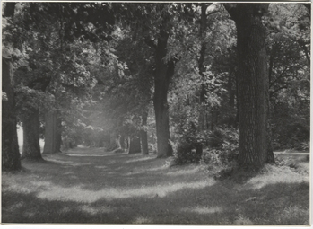 Photographer: Hickstein, Carmen, Copyright: 1